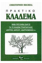 Πρακτικό κλάδεμα
