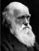 Darwin, Robert Charles