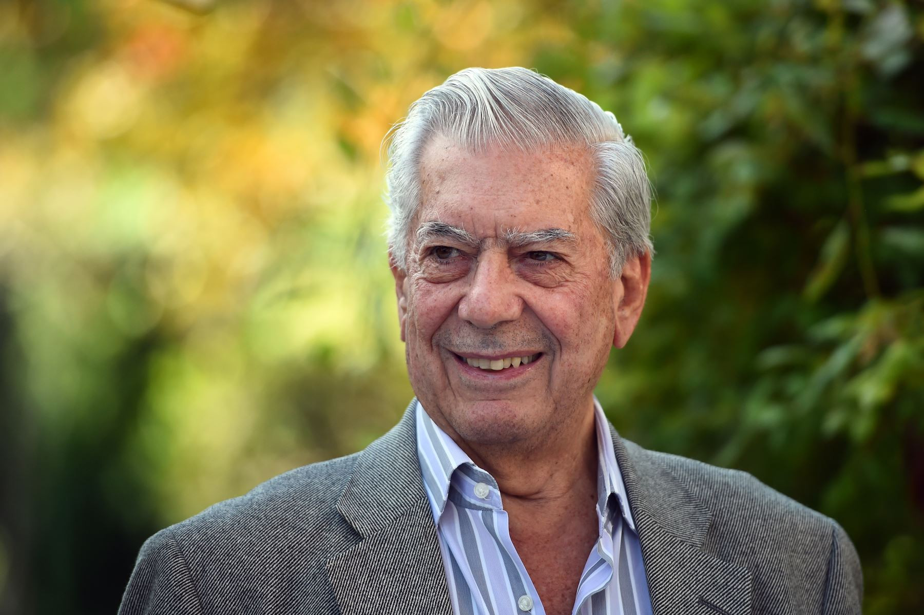 Vargas Llosa,  Mario