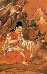 Rangdrol, Tsokdruk Shabkar
